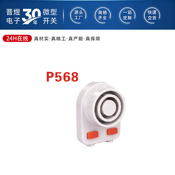 P568 灯座开关在家庭照明中的应用